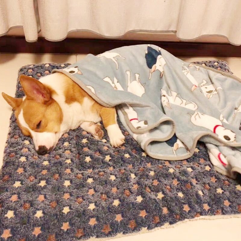 Soft Warm Dog Fleece Blanket - EasyDailyLife