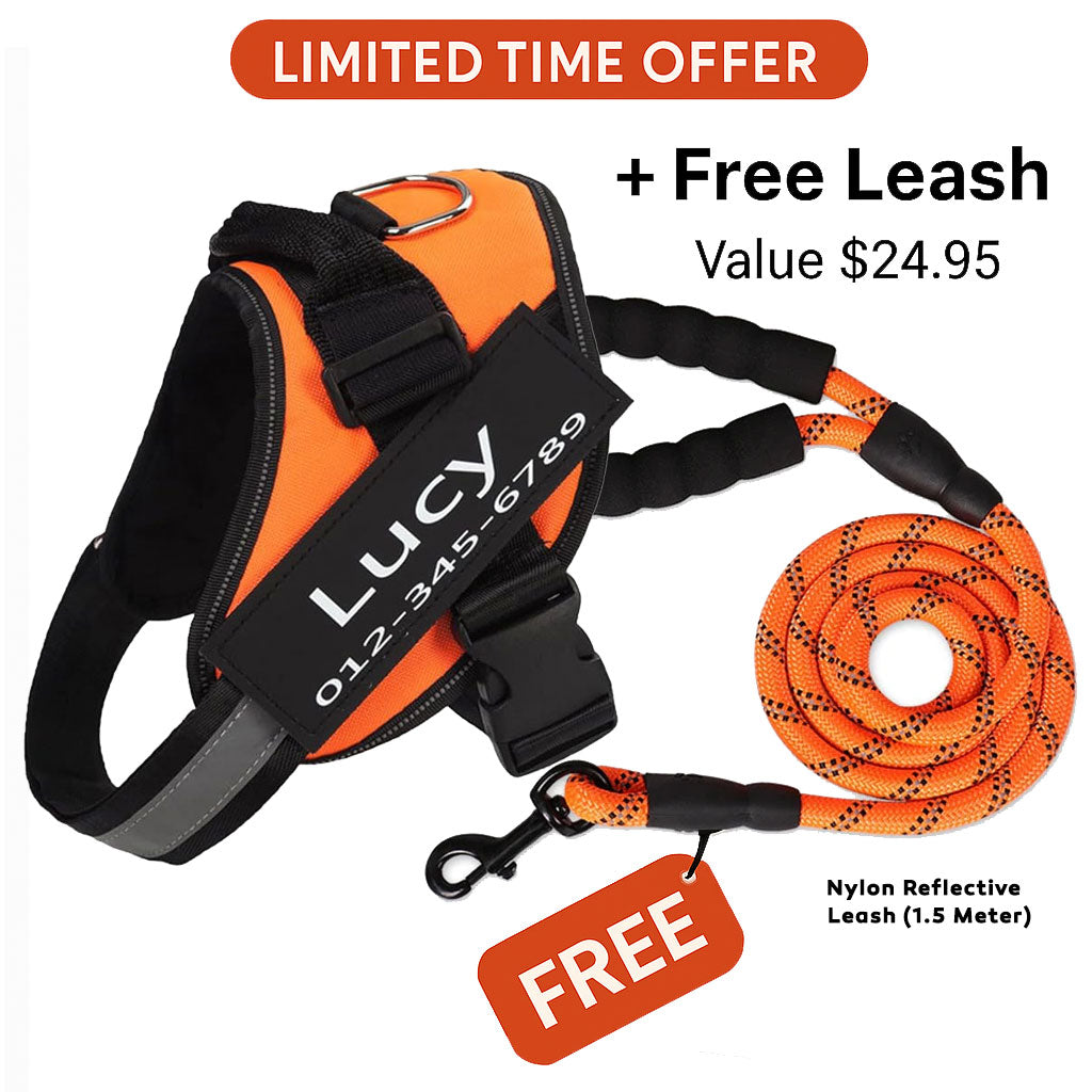 Personalized No Pull Dog Harness + FREE Leash Today