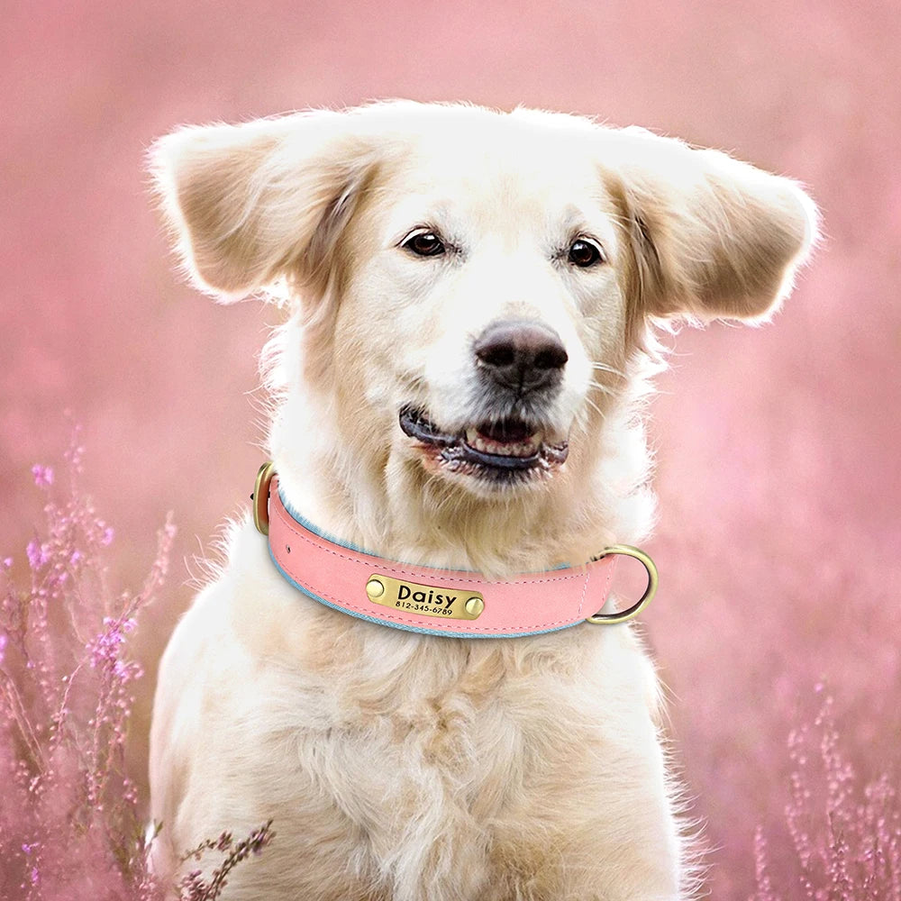 Custom PU Leather Dog Collar β Free Engraving, Adjustable & Padded