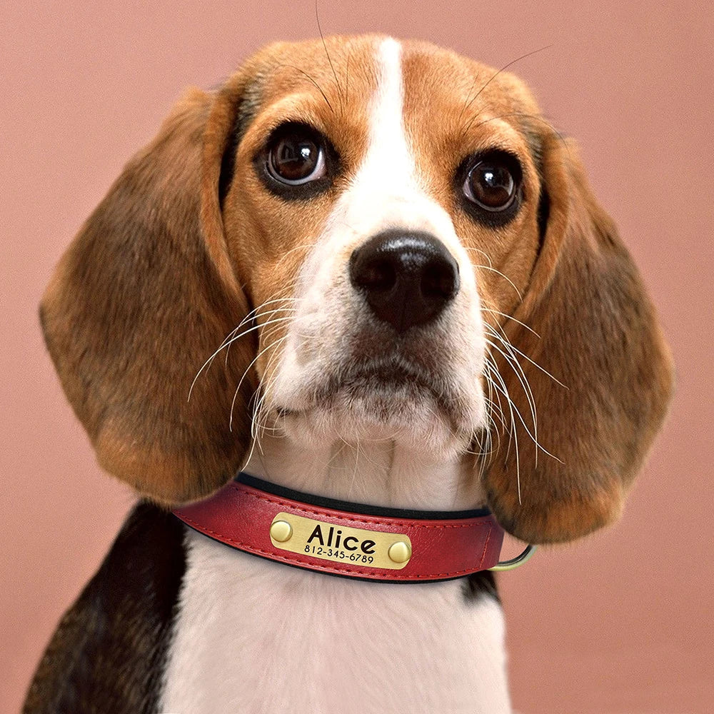 Custom PU Leather Dog Collar β Free Engraving, Adjustable & Padded
