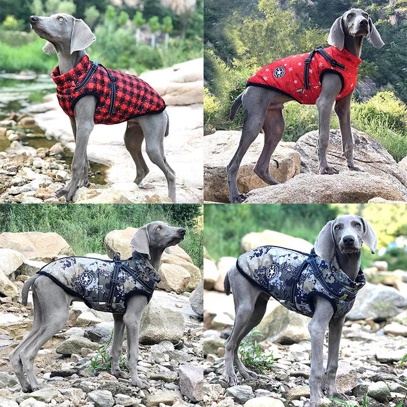 Dog Jacket With Harness - EasyDailyLife