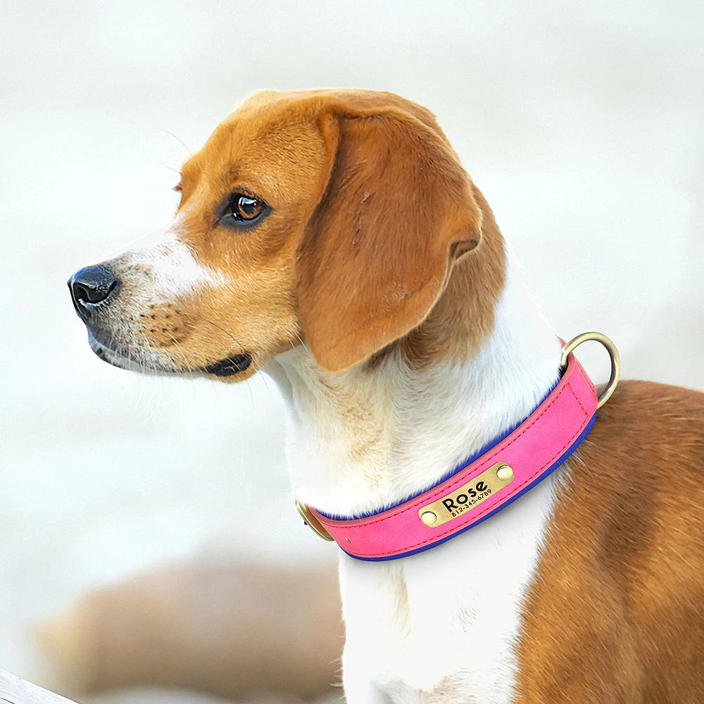 Custom PU Leather Dog Collar β Free Engraving, Adjustable & Padded