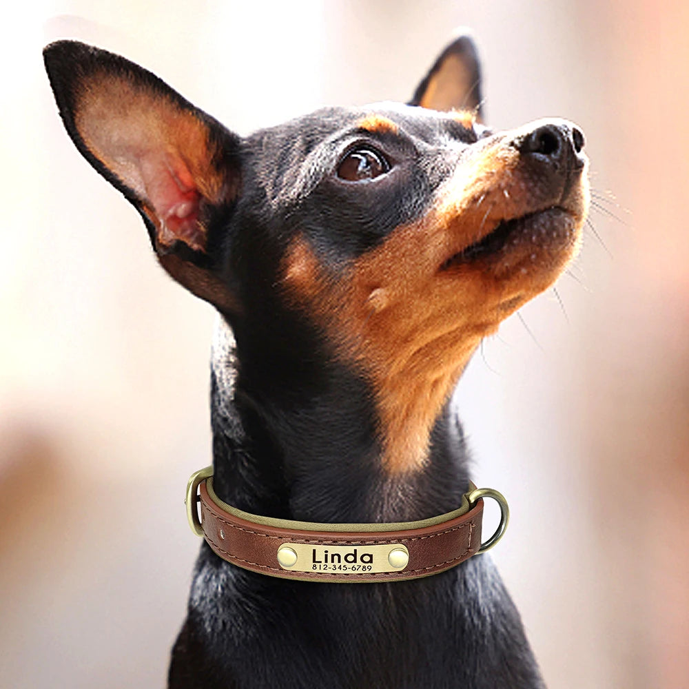 Custom PU Leather Dog Collar β Free Engraving, Adjustable & Padded