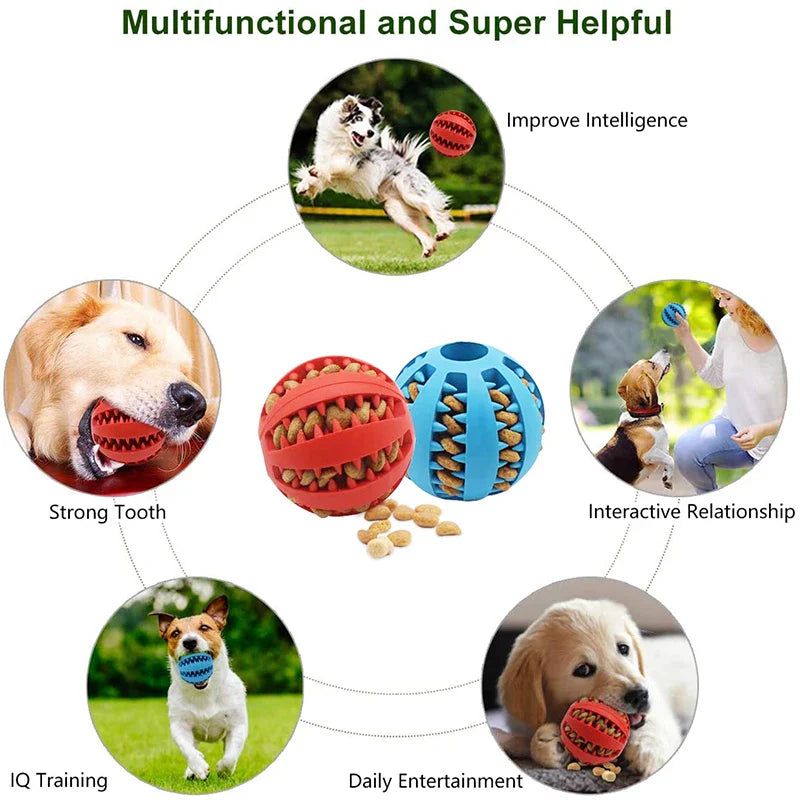 Small Dog Chew Toy - Interactive, Elastic, and Tooth-Cleaning Ball - EasyDailyLife