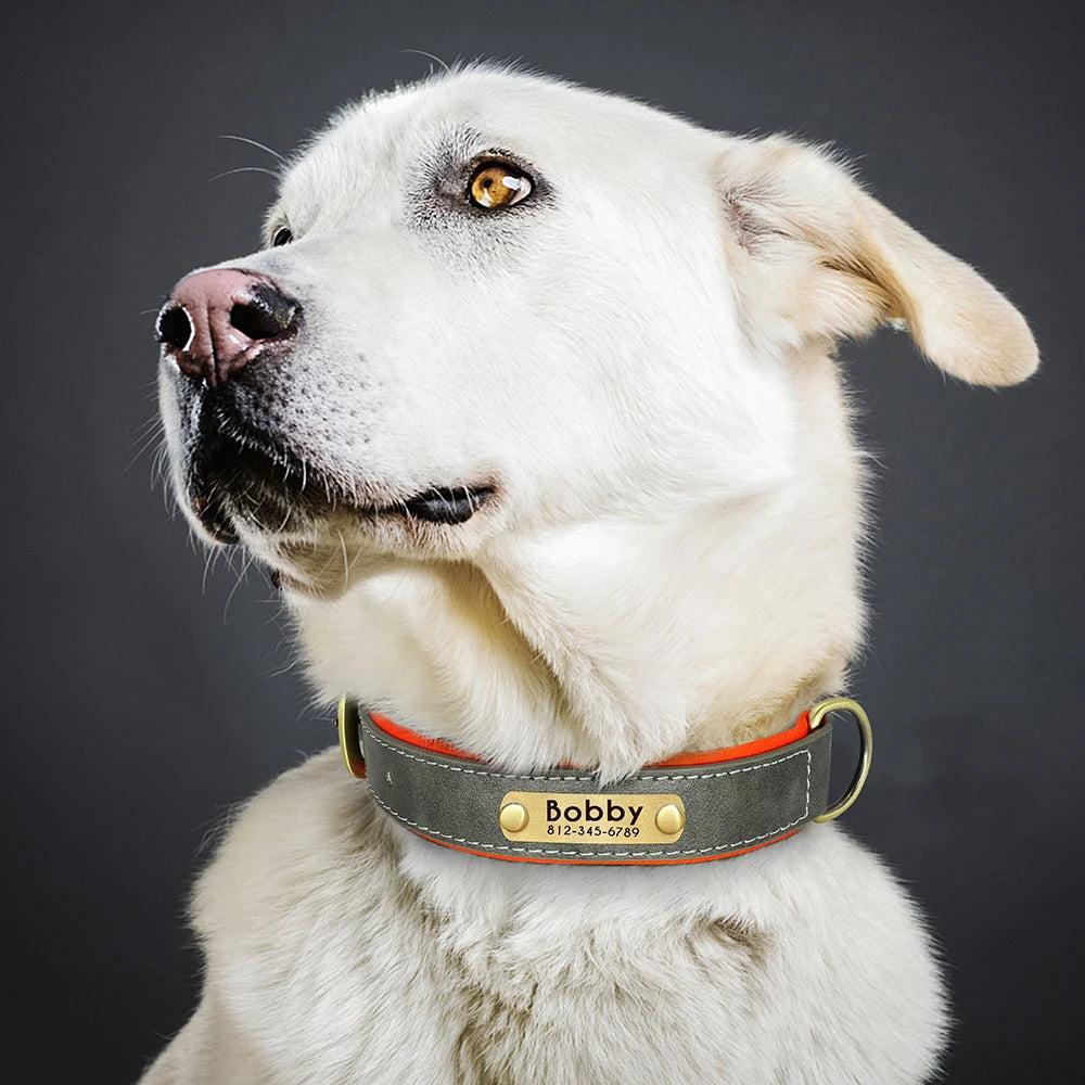 Custom PU Leather Dog Collar β Free Engraving, Adjustable & Padded