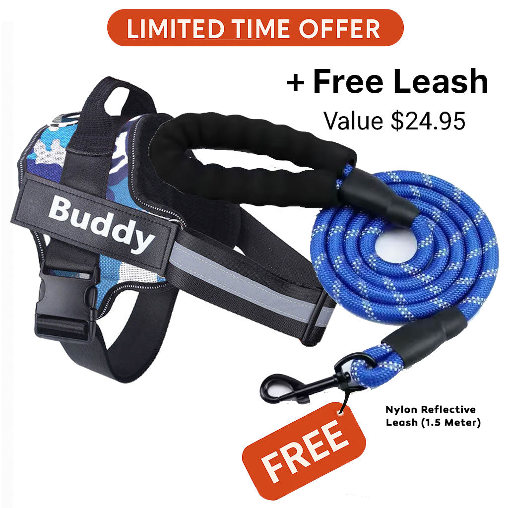 Personalized No Pull Dog Harness + FREE Leash Today