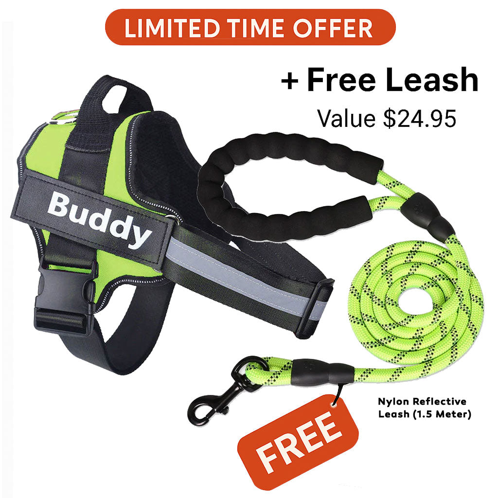 Personalized No Pull Dog Harness + FREE Leash Today