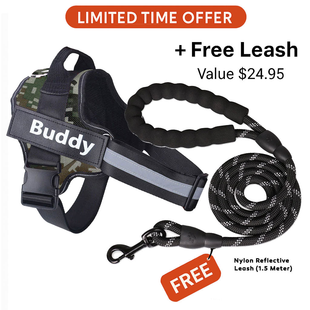 Personalized No Pull Dog Harness + FREE Leash Today