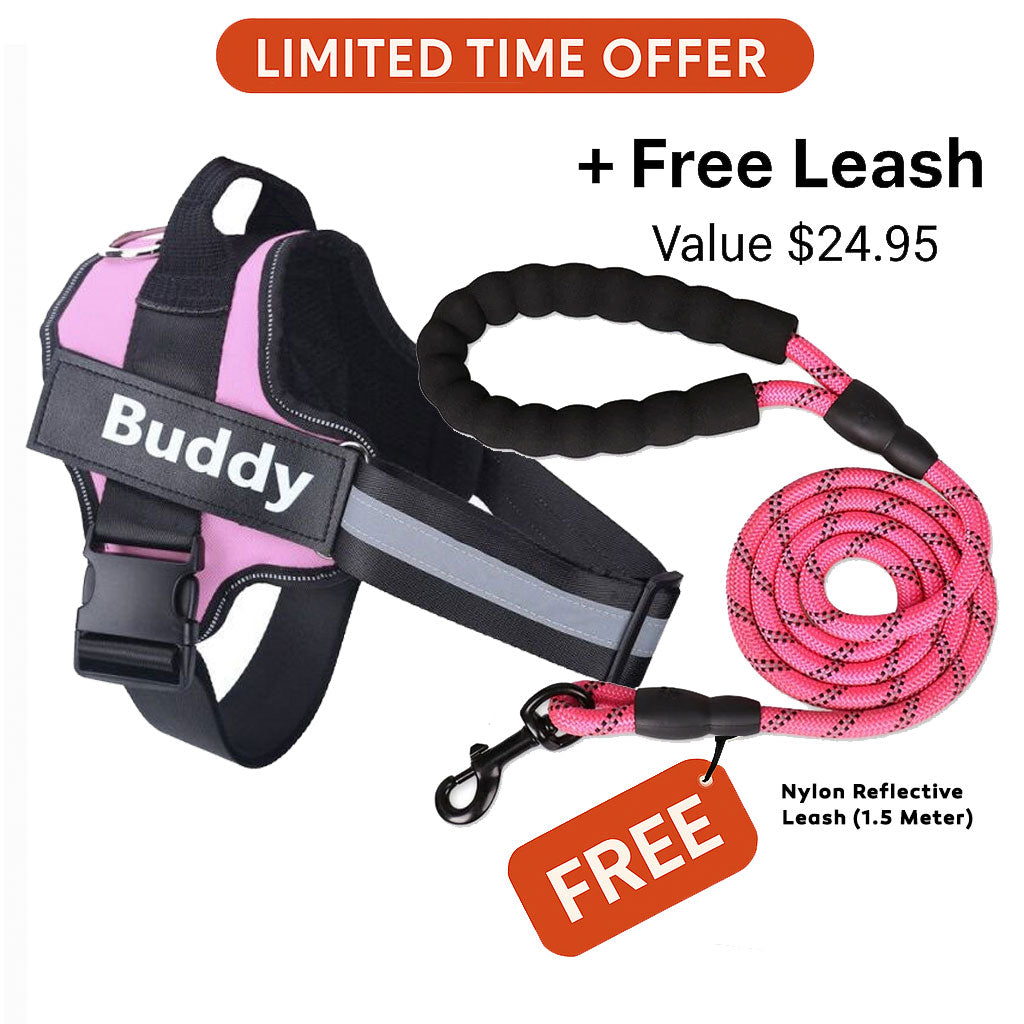 Personalized No Pull Dog Harness + FREE Leash Today
