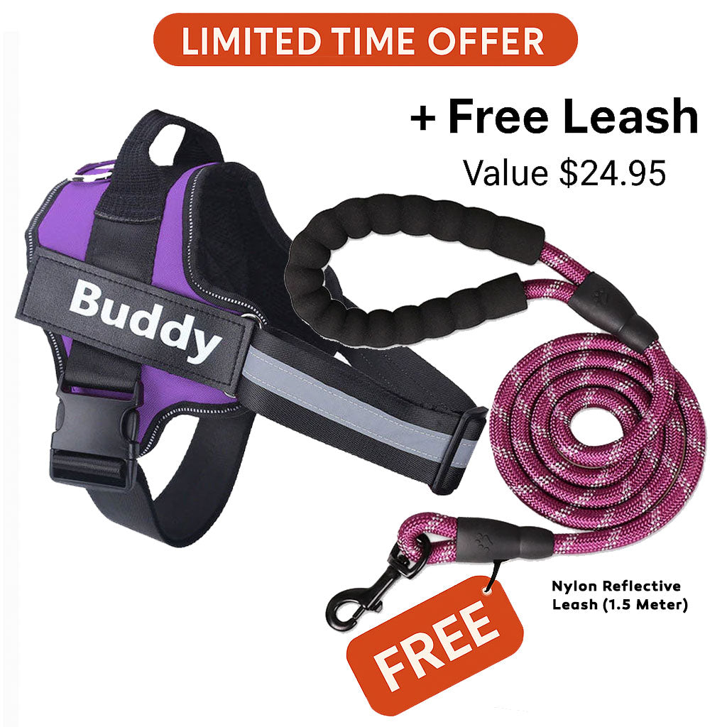 Personalized No Pull Dog Harness + FREE Leash Today