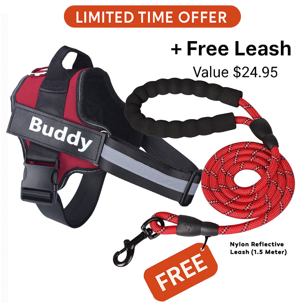 Personalized No Pull Dog Harness + FREE Leash Today