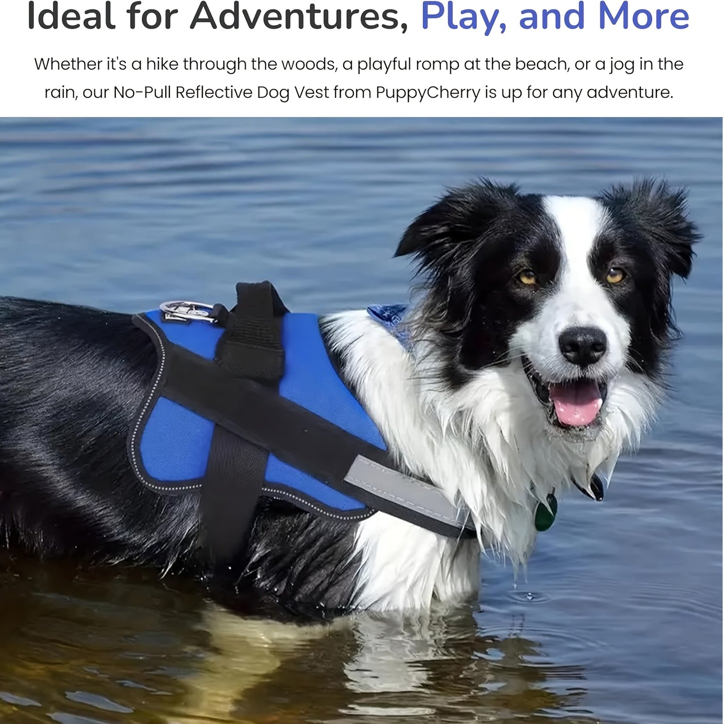 EasyDailyLife™ No Pull Dog Harness Without Patch