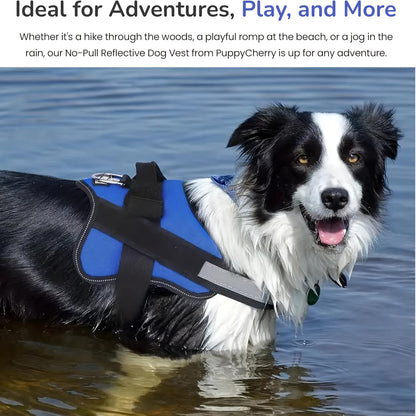 EasyDailyLife™ No Pull Dog Harness Without Patch