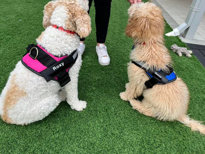 Personalized No Pull Dog Harness (FREE TODAY) - EasyDailyLife