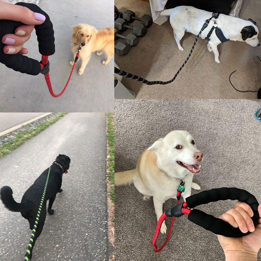 Premium Quality Nylon Reflective Leash (1.5 Meter) - EasyDailyLife