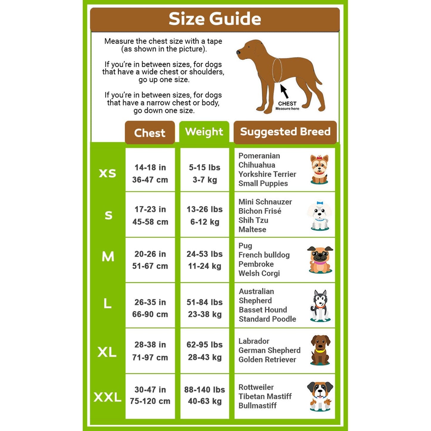 Personalized No Pull Dog Harness - EasyDailyLife