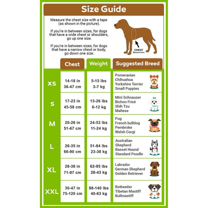 Personalized No Pull Dog Harness - EasyDailyLife