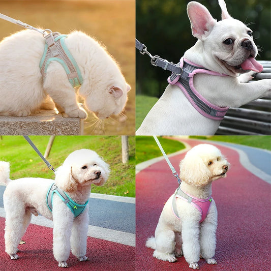 Cat Harness With Leash - EasyDailyLife
