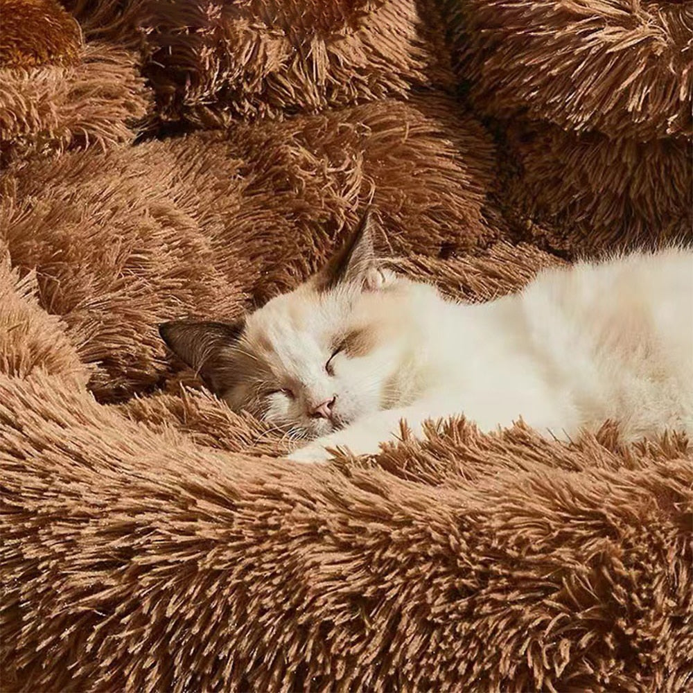 Luxurious Dog Sofa Bed - EasyDailyLife