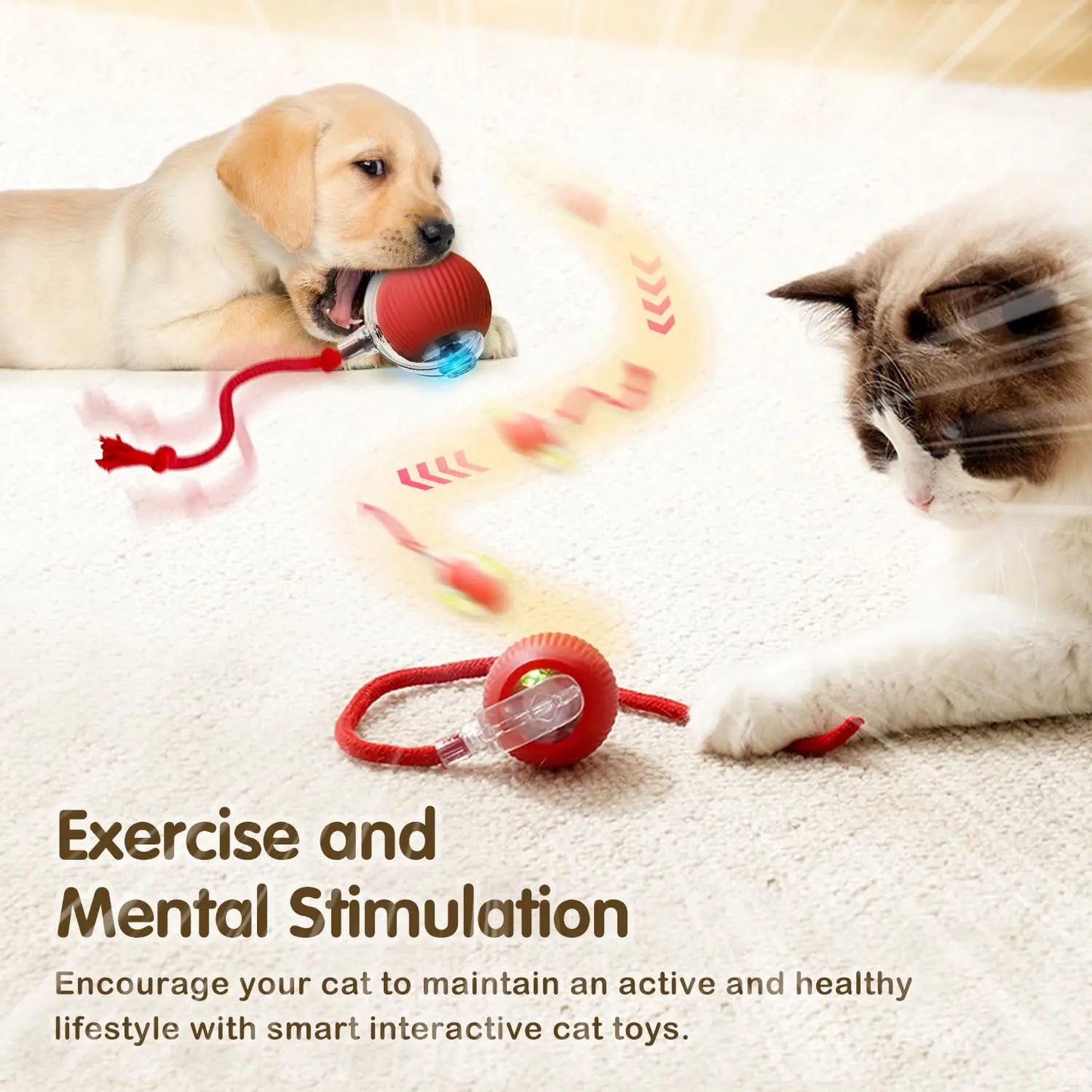 Smart Rechargeable Cat Toy – Rolling Ball with Tail - EasyDailyLife