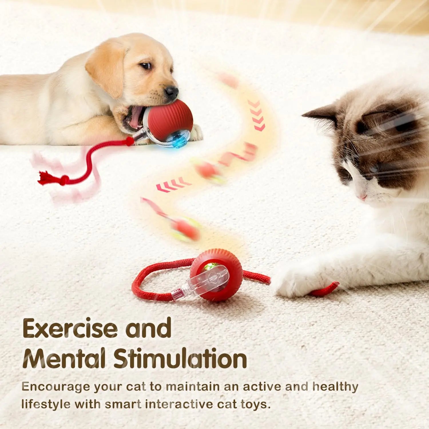 Smart Rechargeable Cat Toy – Rolling Ball with Tail - EasyDailyLife