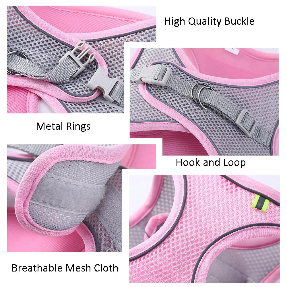 Cat Harness With Leash - EasyDailyLife