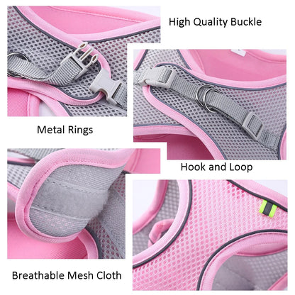 Cat Harness With Leash - EasyDailyLife