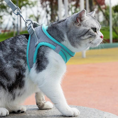 Cat Harness With Leash - EasyDailyLife