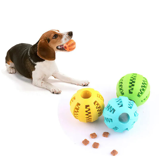 Small Dog Chew Toy - Interactive, Elastic, and Tooth-Cleaning Ball - EasyDailyLife