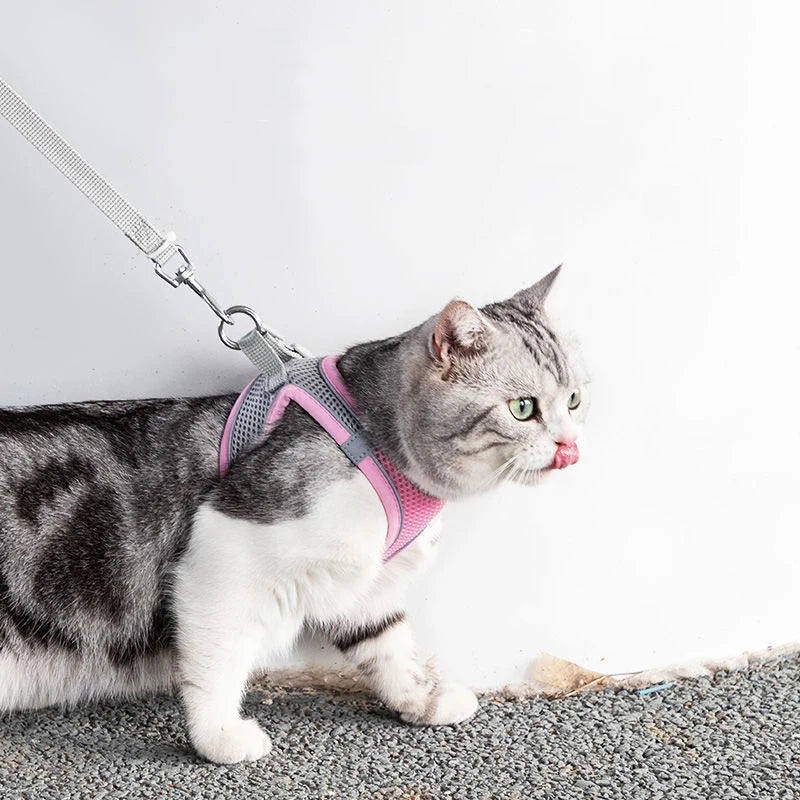 Cat Harness With Leash - EasyDailyLife
