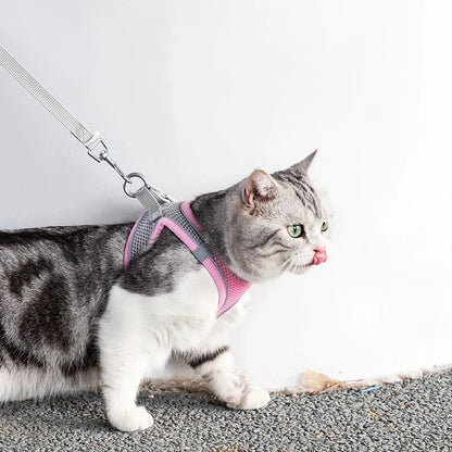 Cat Harness With Leash - EasyDailyLife
