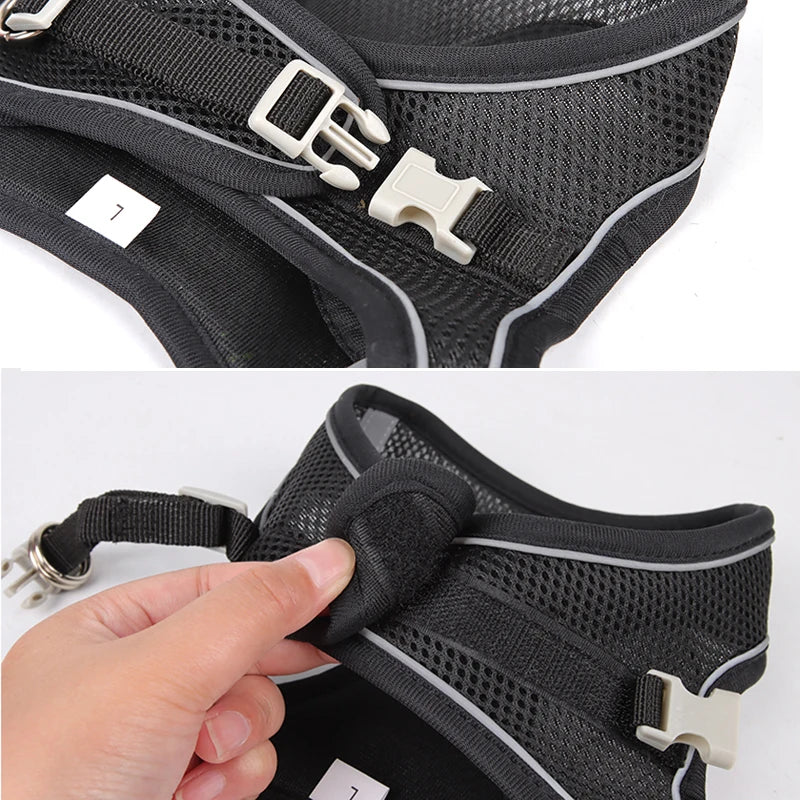 Cat Harness With Leash - EasyDailyLife