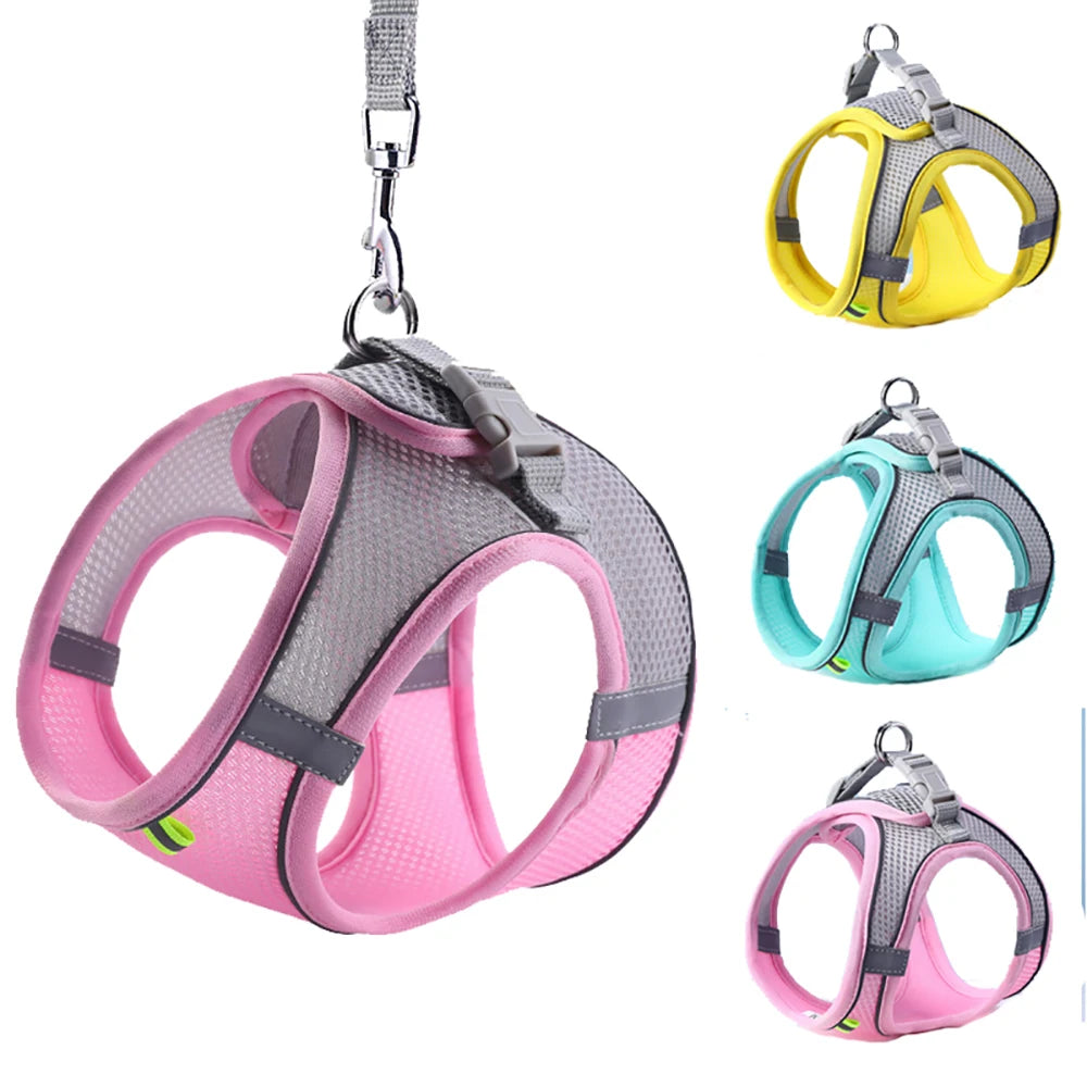 Cat Harness With Leash - EasyDailyLife