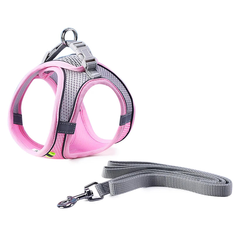 Cat Harness With Leash - EasyDailyLife