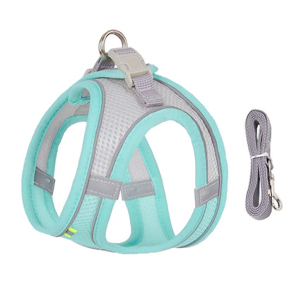Cat Harness With Leash