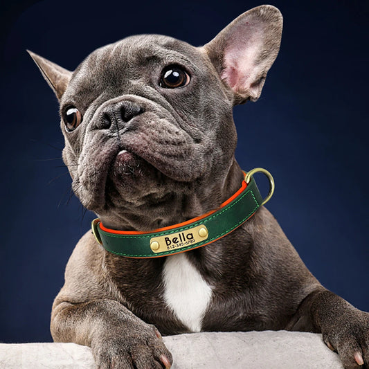 Custom PU Leather Dog Collar – Free Engraving, Adjustable & Padded