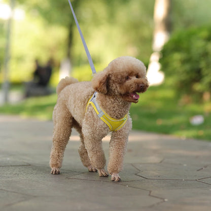Cat Harness With Leash - EasyDailyLife