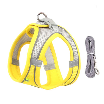 Cat Harness With Leash - EasyDailyLife