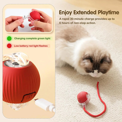 Smart Rechargeable Cat Toy – Rolling Ball with Tail - EasyDailyLife
