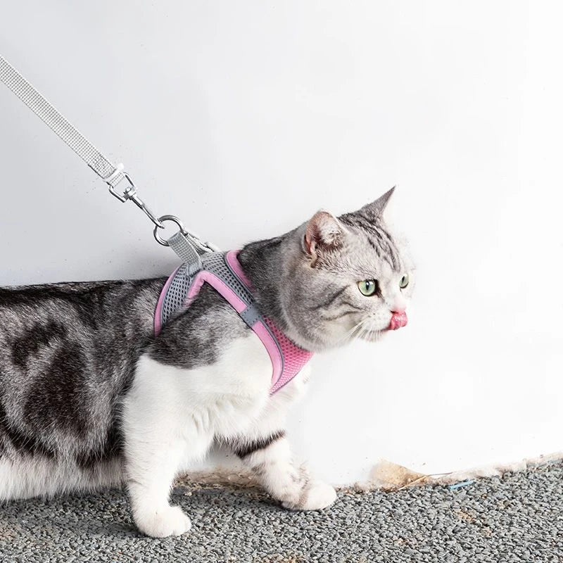 Cat Harness With Leash - EasyDailyLife