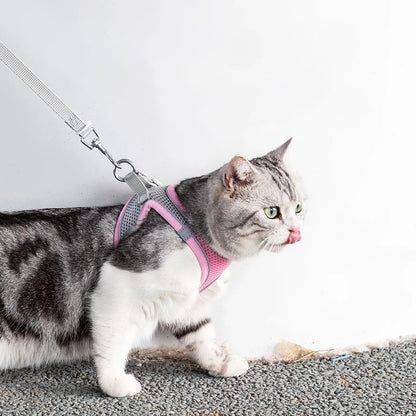Cat Harness With Leash - EasyDailyLife