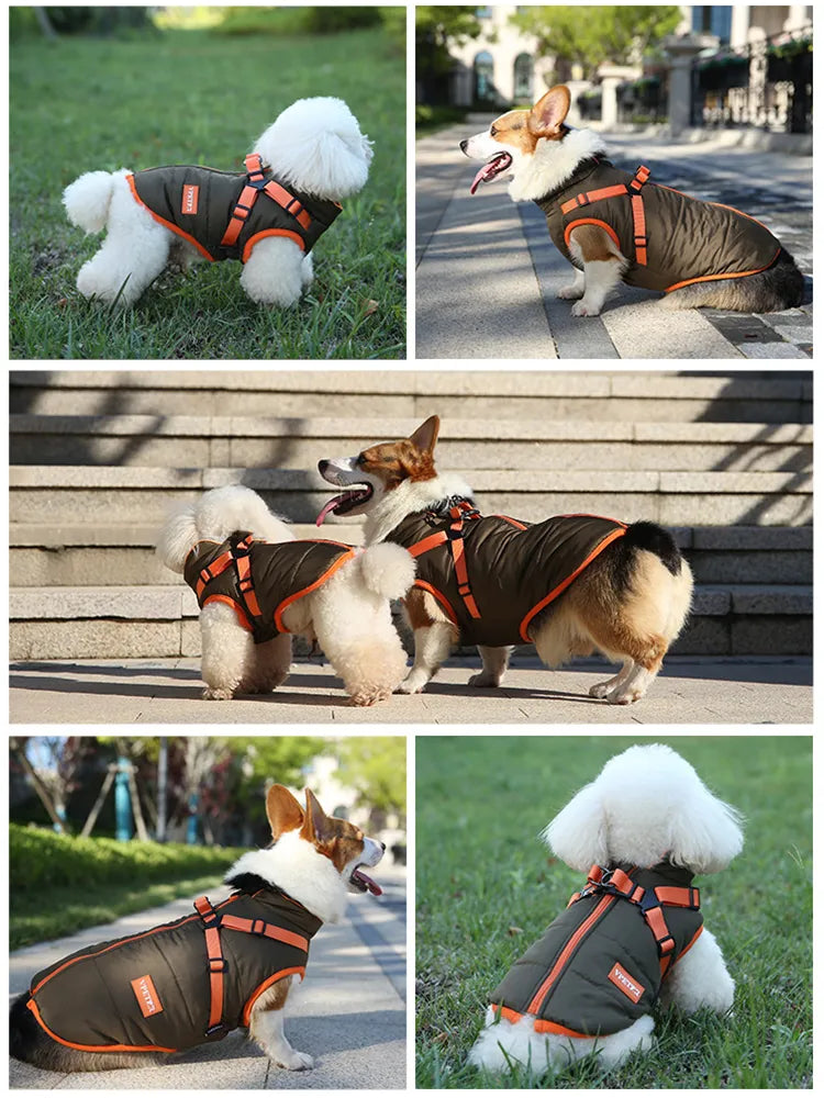 Waterproof Dog Jacket with Harness - EasyDailyLife
