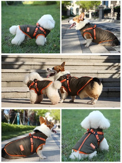 Waterproof Dog Jacket with Harness - EasyDailyLife