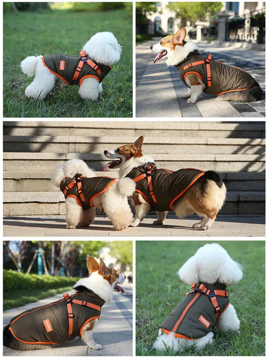 Waterproof Dog Jacket with Harness - EasyDailyLife