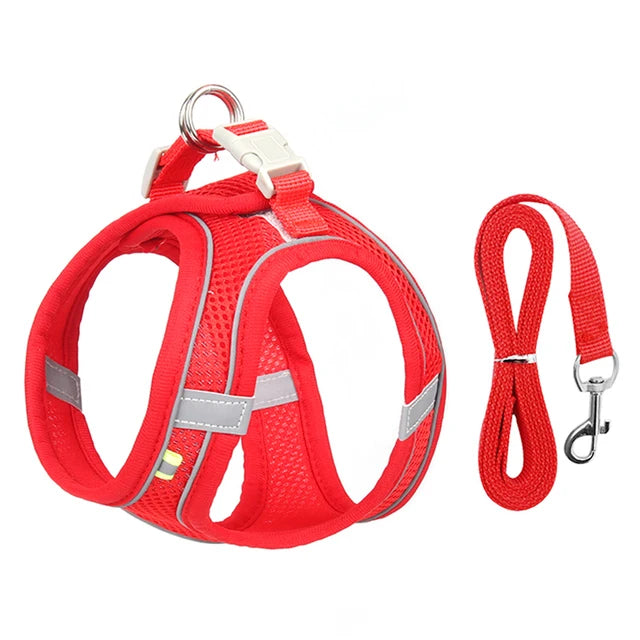 Cat Harness With Leash