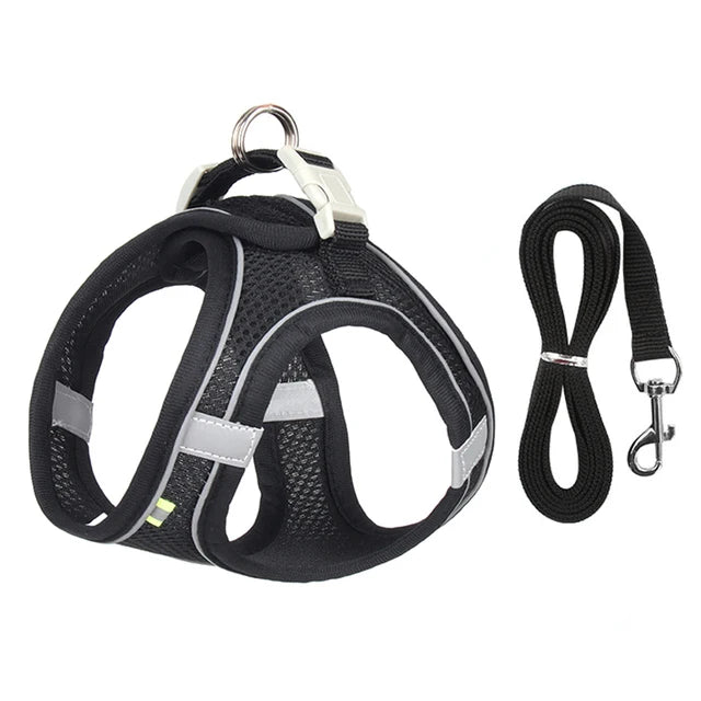 Cat Harness With Leash