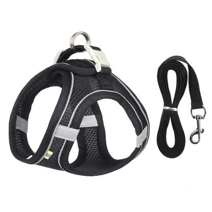 Cat Harness With Leash