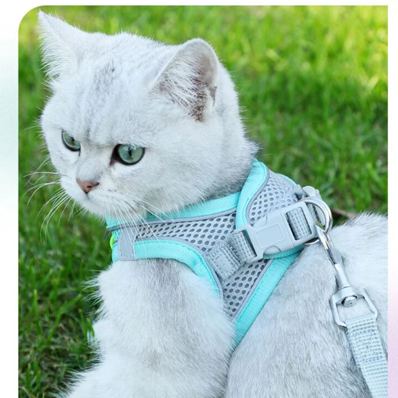 Cat Harness With Leash - EasyDailyLife