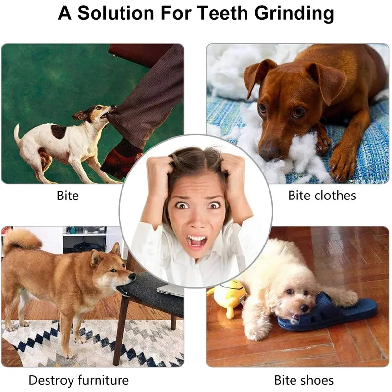 Small Dog Chew Toy - Interactive, Elastic, and Tooth-Cleaning Ball - EasyDailyLife