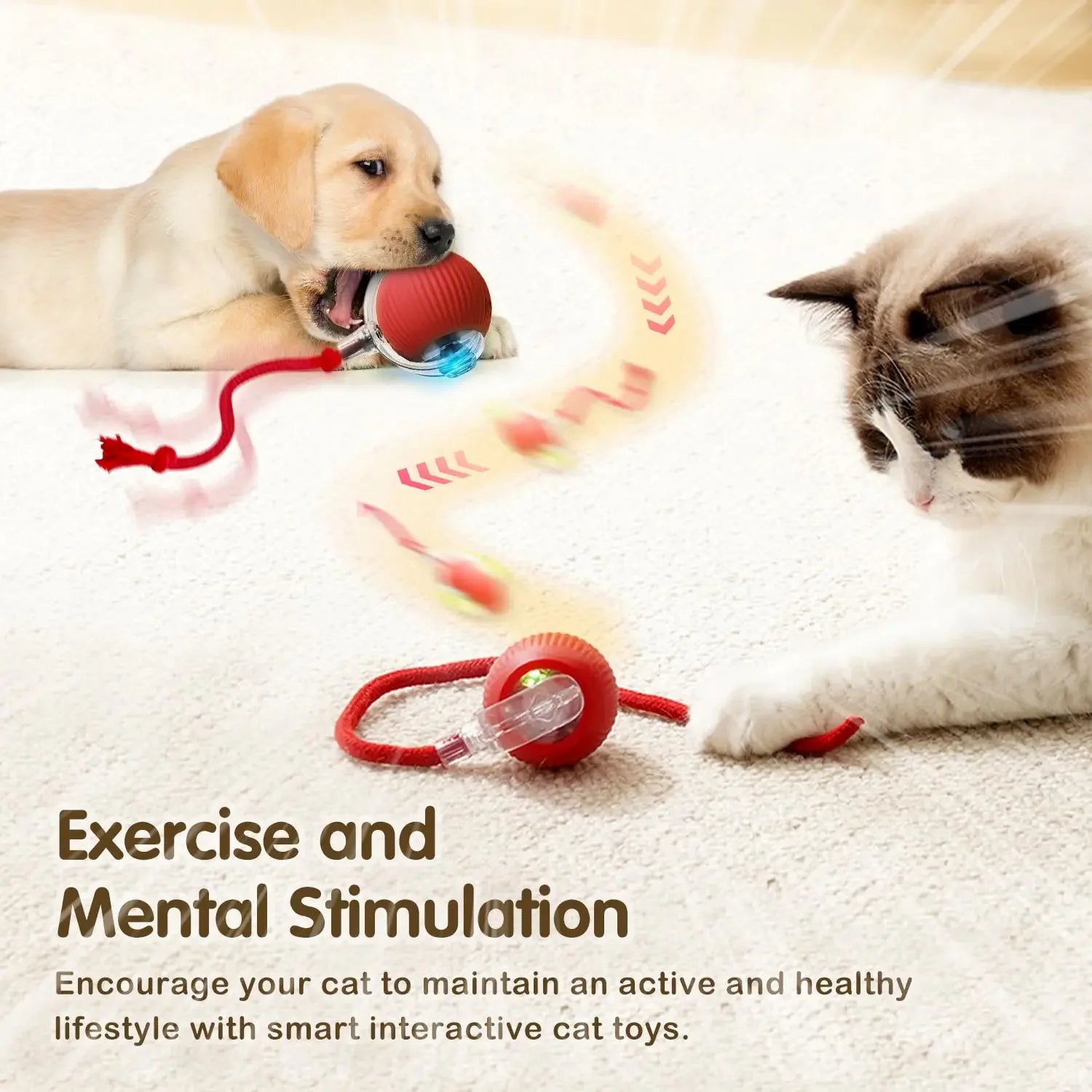 Smart Rechargeable Cat Toy – Rolling Ball with Tail - EasyDailyLife